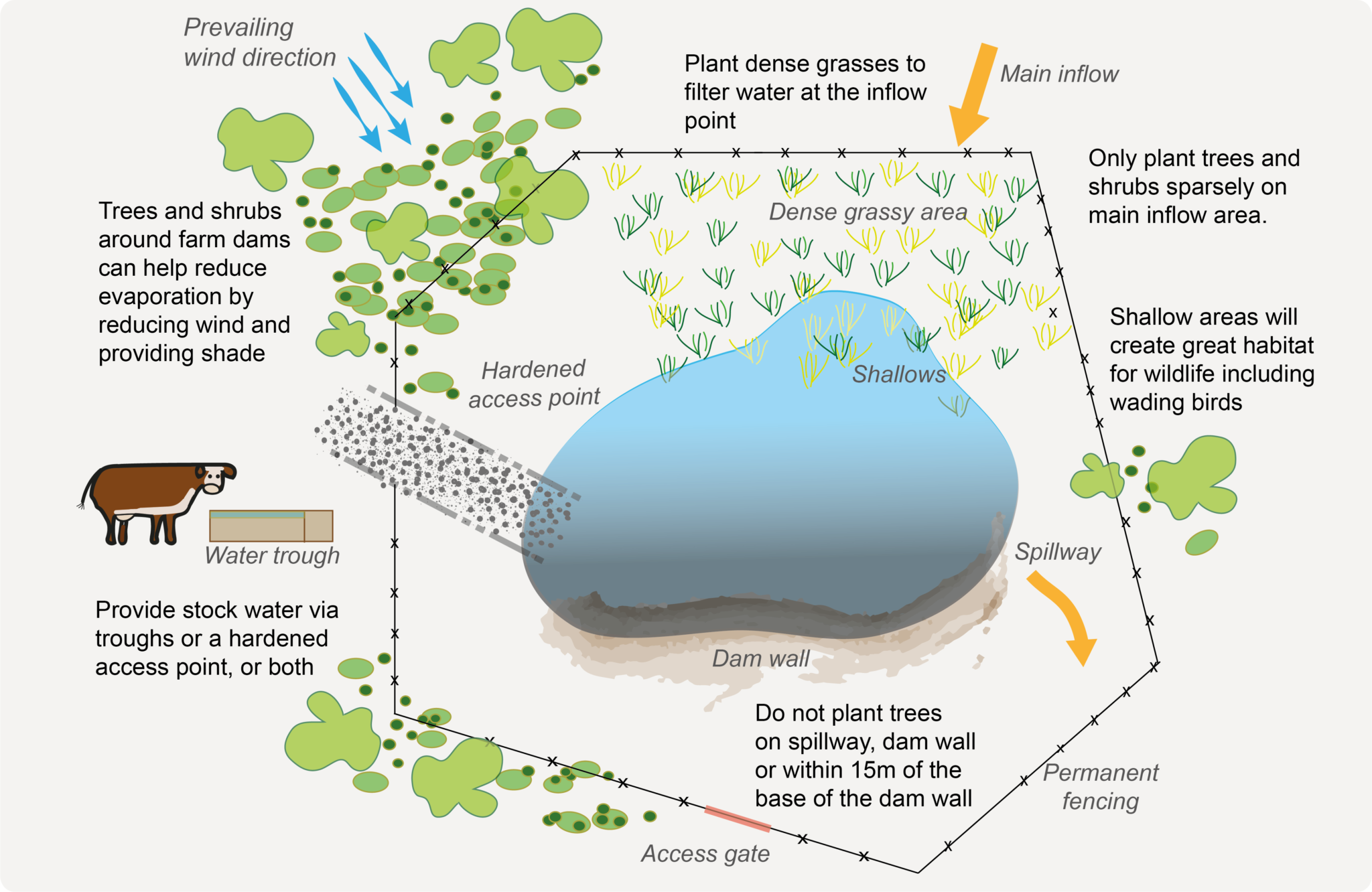 The Benefits Of Keeping Healthy Farm Dams – Watershed Landcare Incorporated